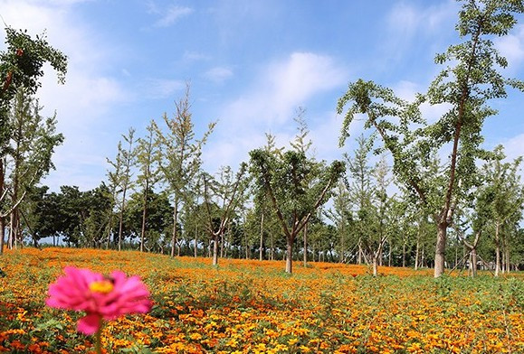 西安壽陽(yáng)山墓園安葬費(fèi)用溫馨提示