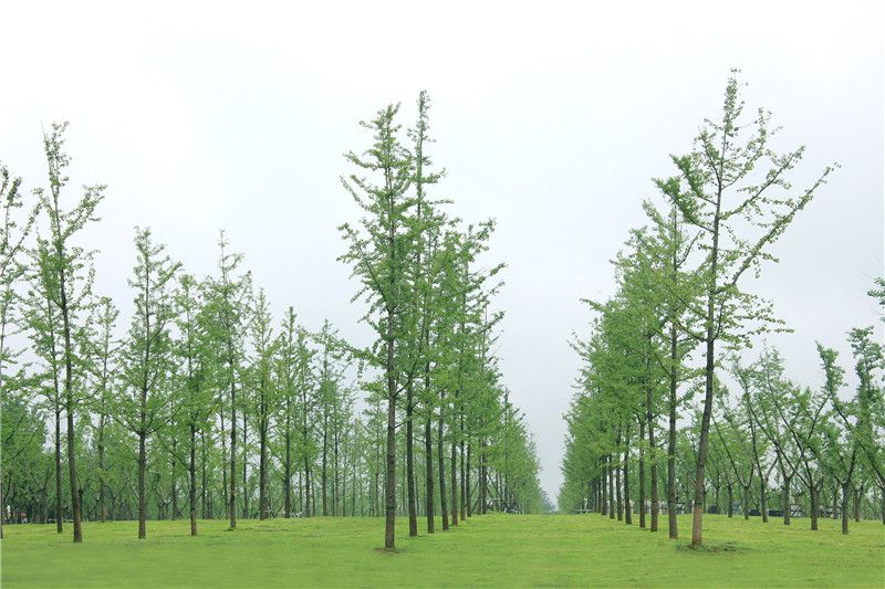 西安壽陽(yáng)山墓園照片展示