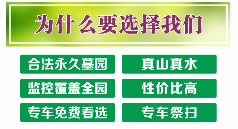 西安壽陽山公墓乘車地 到壽陽山墓園怎么走