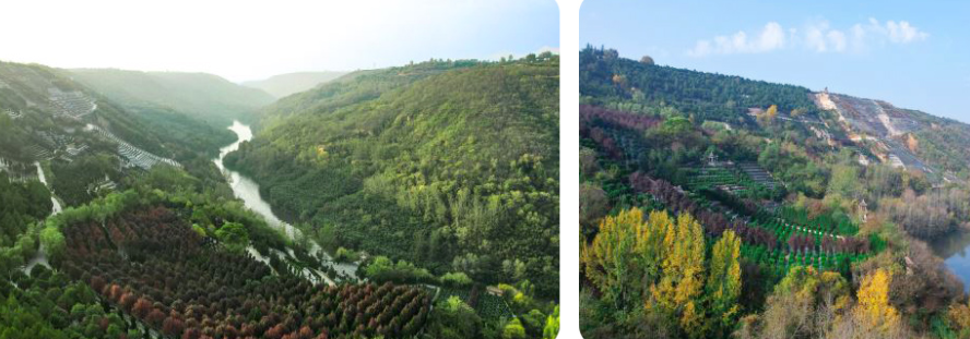 西安壽陽(yáng)山骨灰墓園地處鯨魚溝中段，依山傍水，地勢(shì)高爽