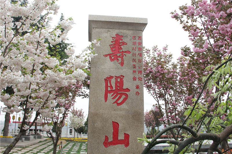 西安壽陽(yáng)山墓園價(jià)格_西安壽陽(yáng)山公墓地址電話